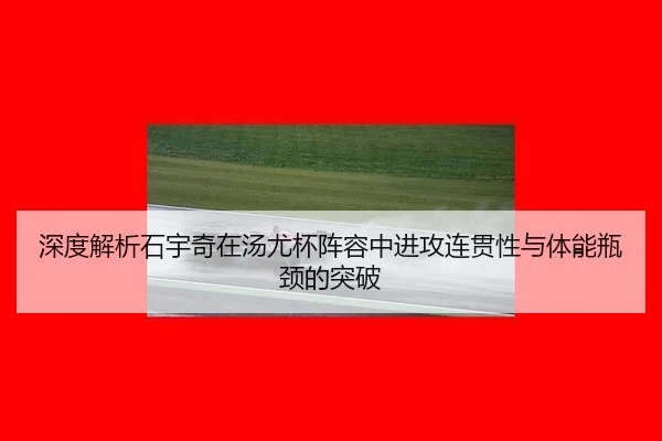 shen-du-jie-xi-shi-yu-qi-zai-tang-you-bei-zhen-rong-zhong-jin-gong-lian-guan-xing-yu-ti-neng-ping-jing-de-tu-po-3-411.jpg