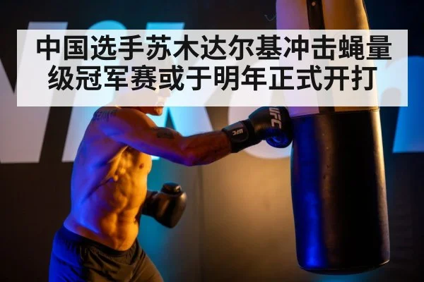 中国选手苏木达尔基冲击蝇量级冠军赛或于明年正式开打