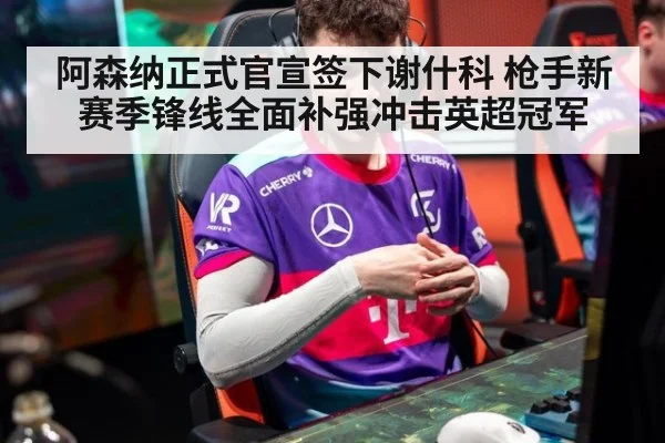 阿森纳正式官宣签下谢什科 枪手新赛季锋线全面补强冲击英超冠军